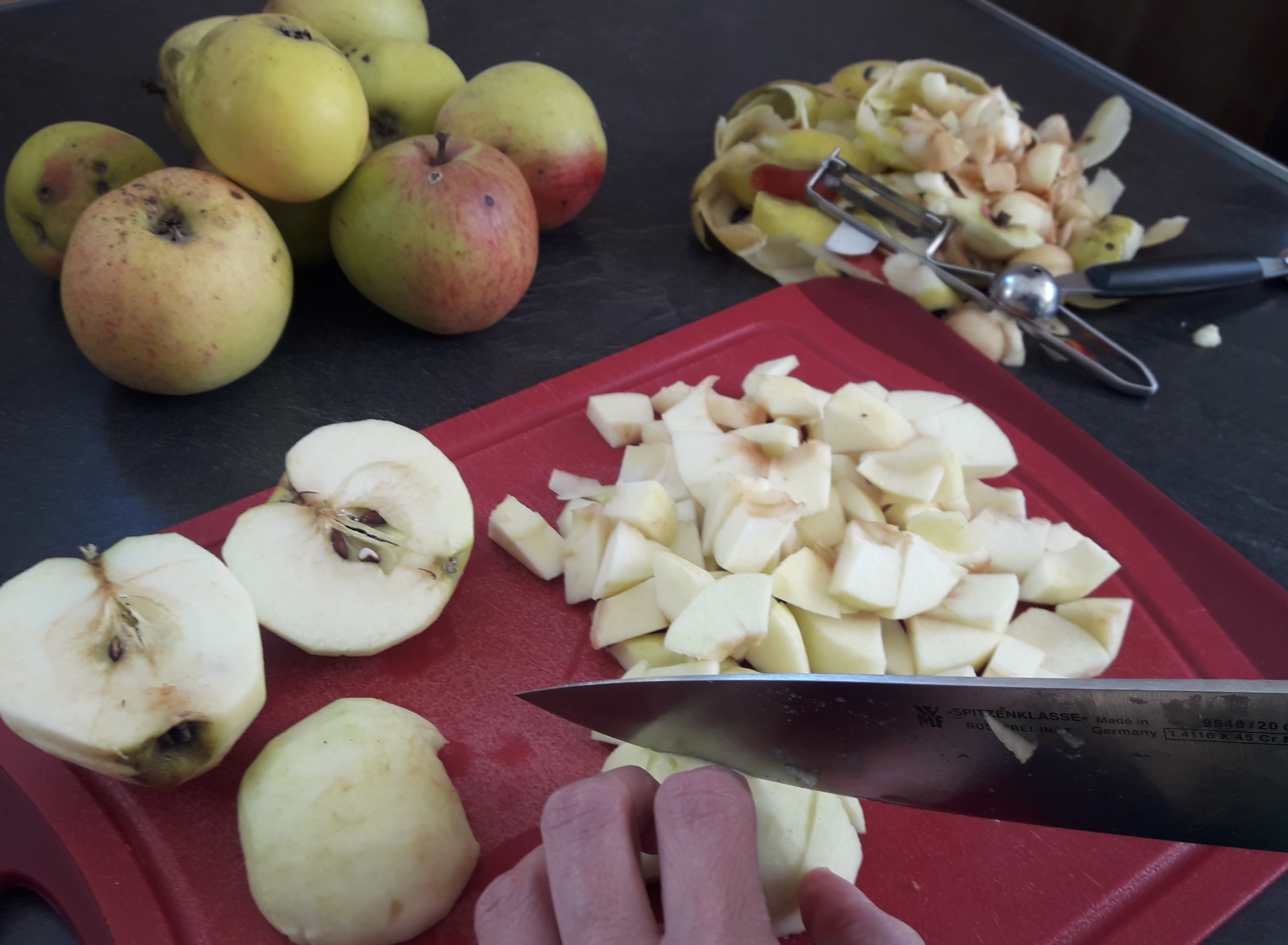 Apfel Haferflocken Jause bei Salzburg schmeckt