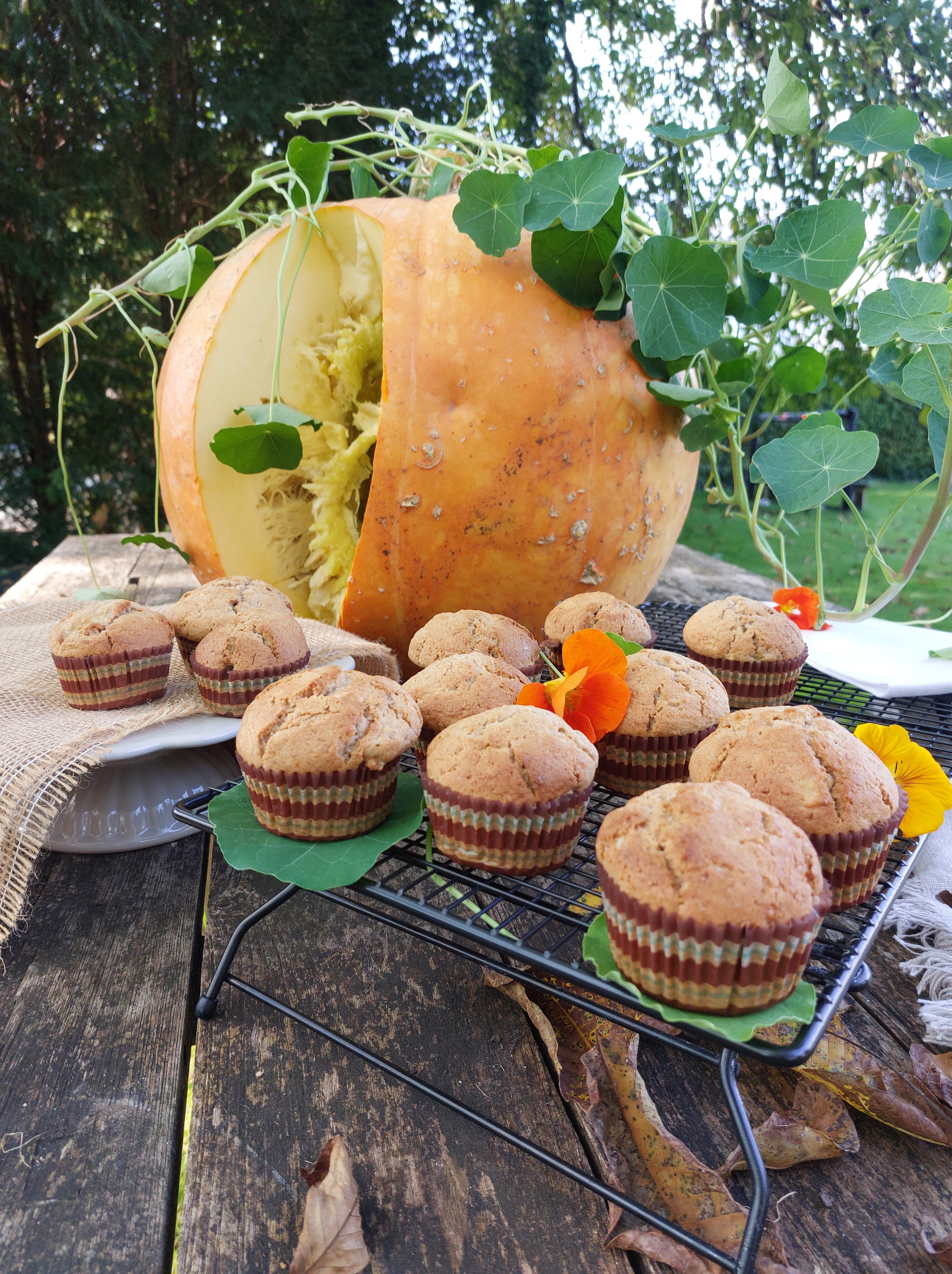 Kürbismuffins bei Salzburg schmeckt