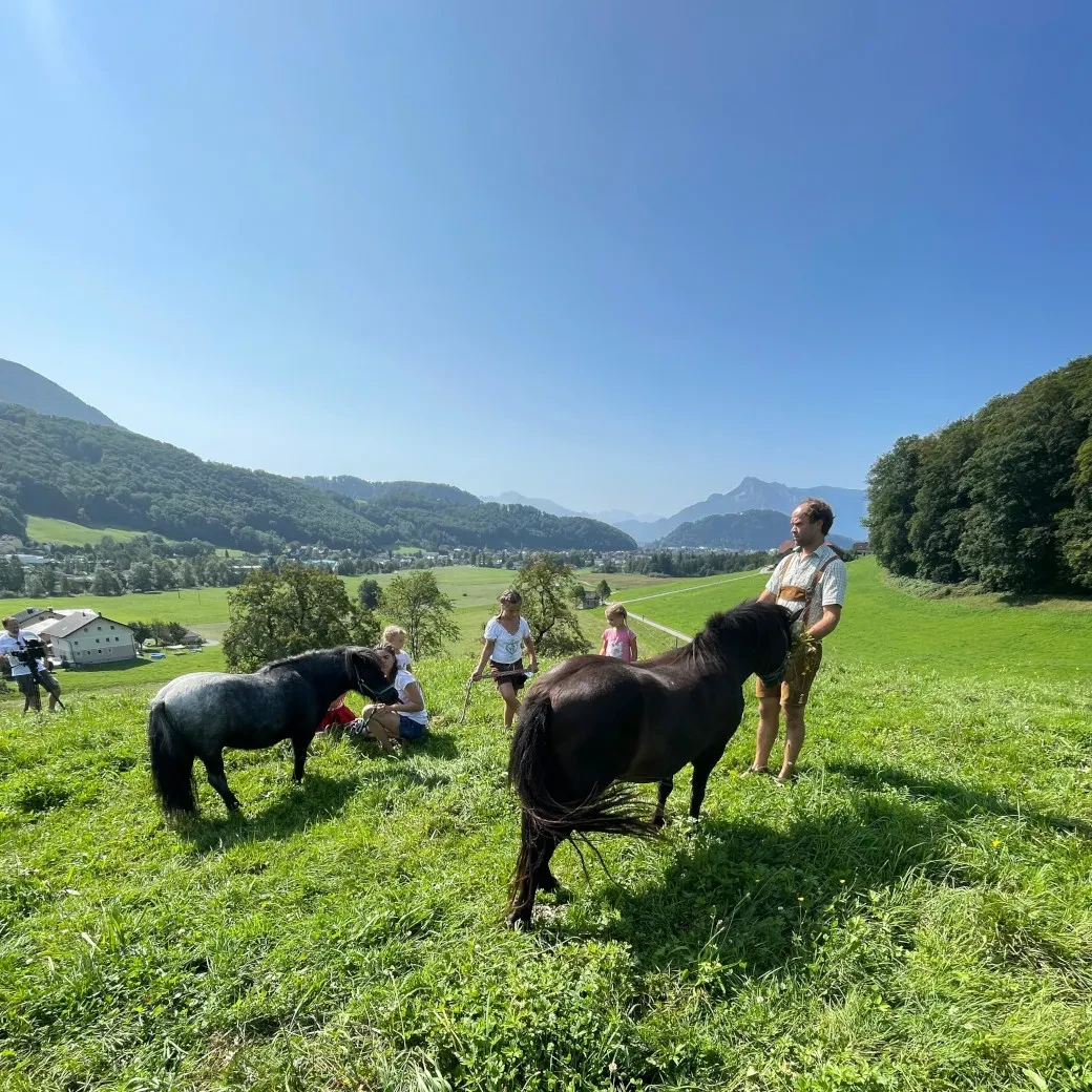 Geisbichlhof_Ausblick Weide Pferde