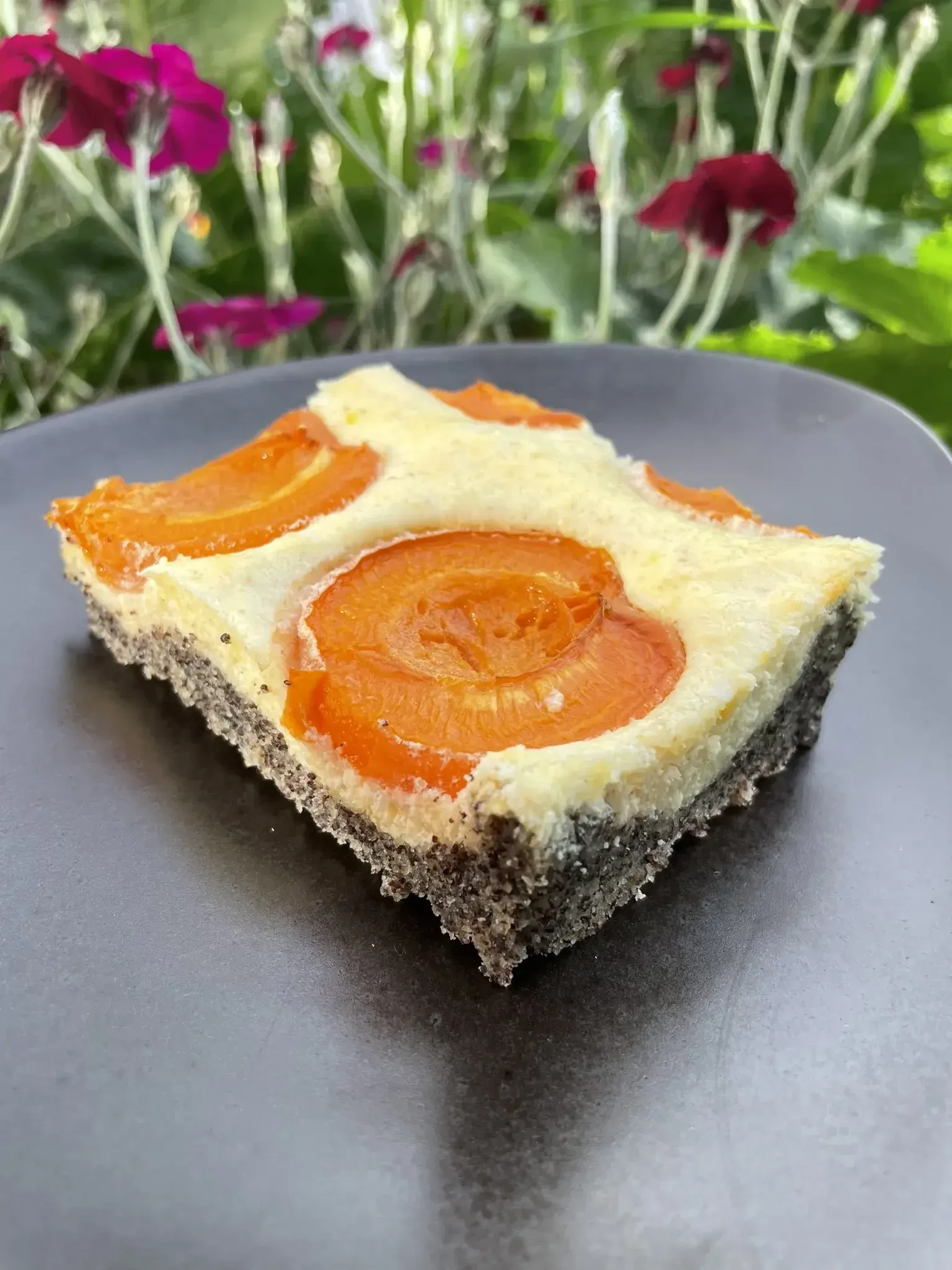 Kuchen mit Mohn, Skyr und Marillen