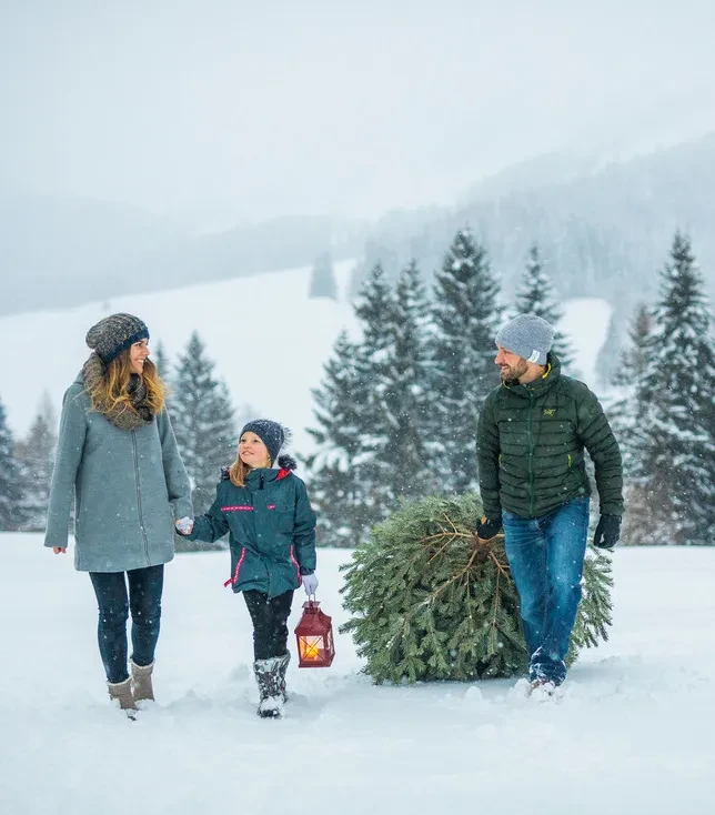 Familie holt Christbaum