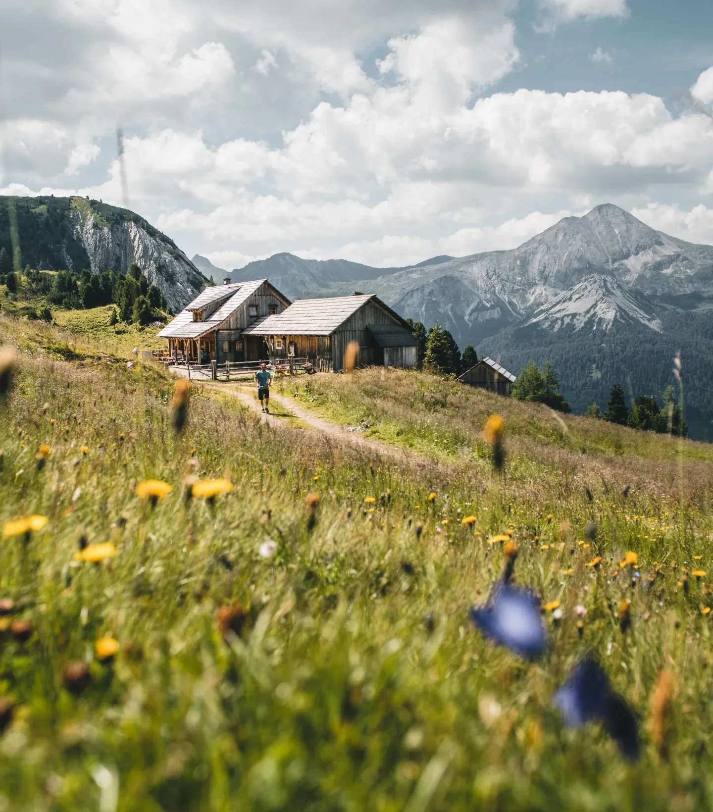 Twengeralm im Sommer