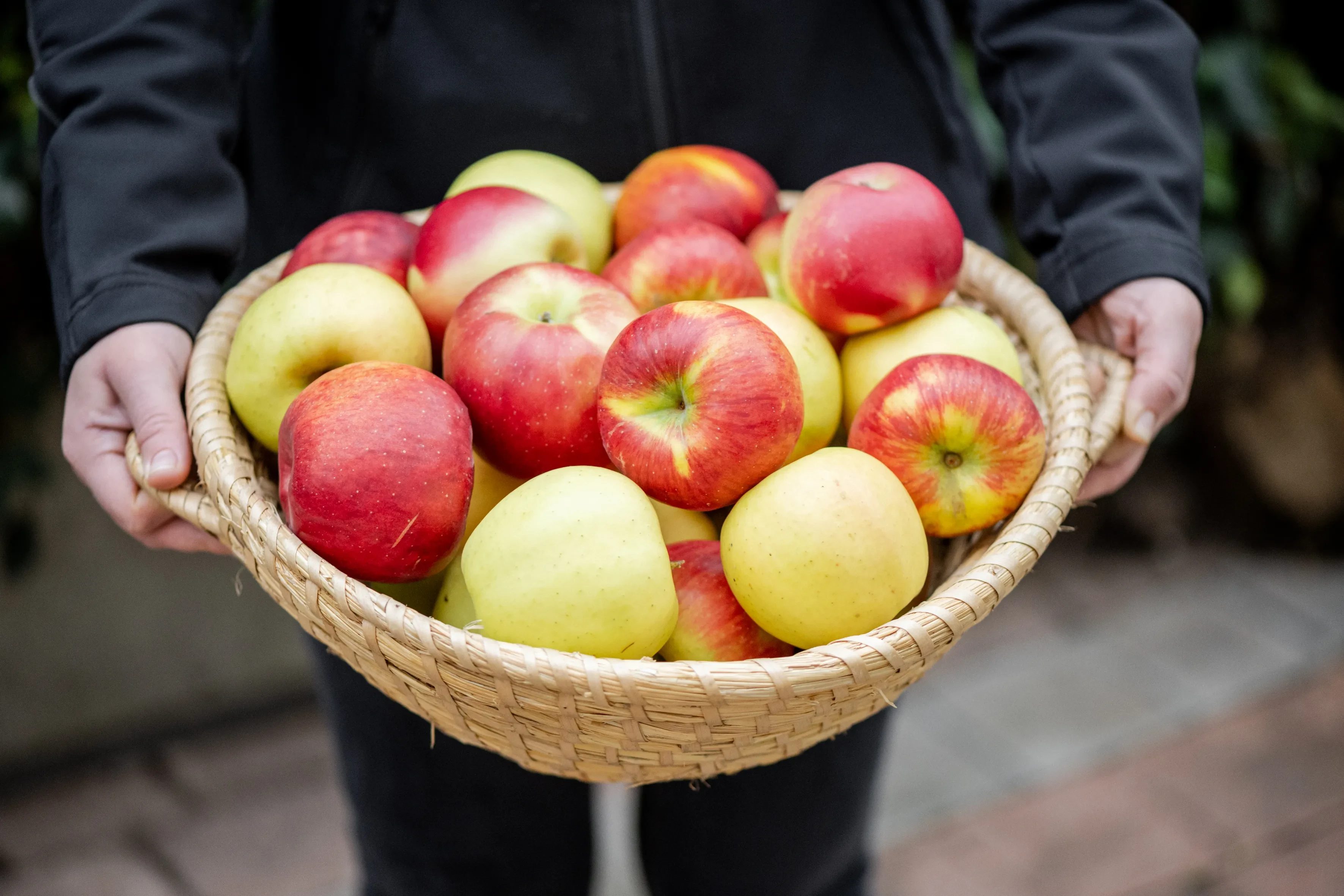 Äpfel im Kopb