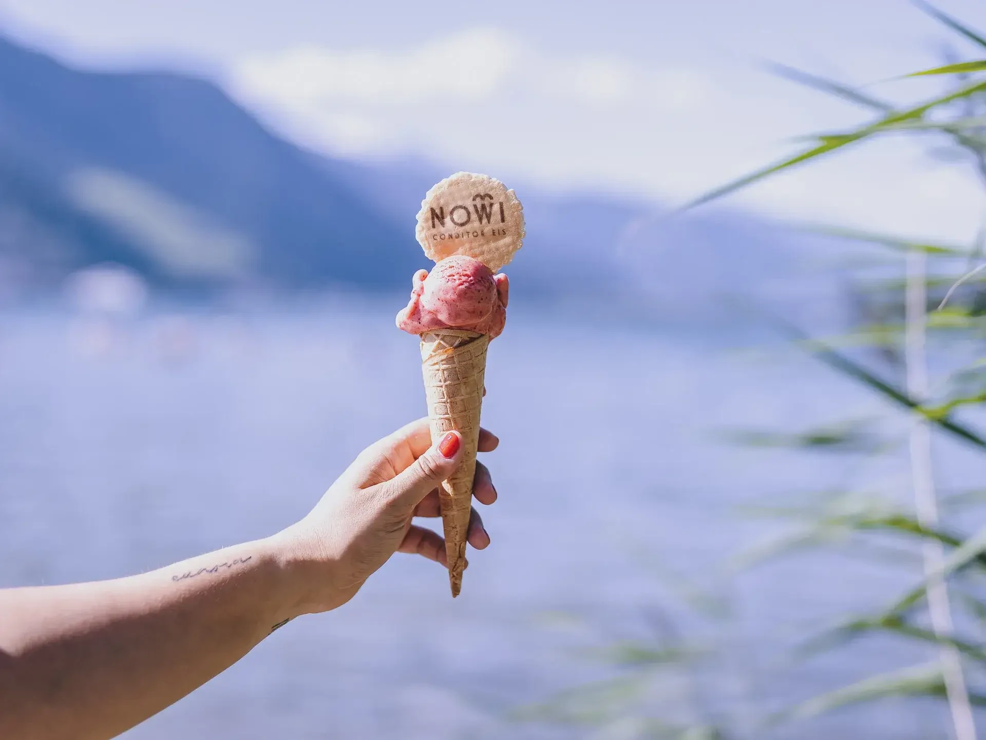 Joghurt - Ribiseleis von NOWI Conditor Eis in Kaprun