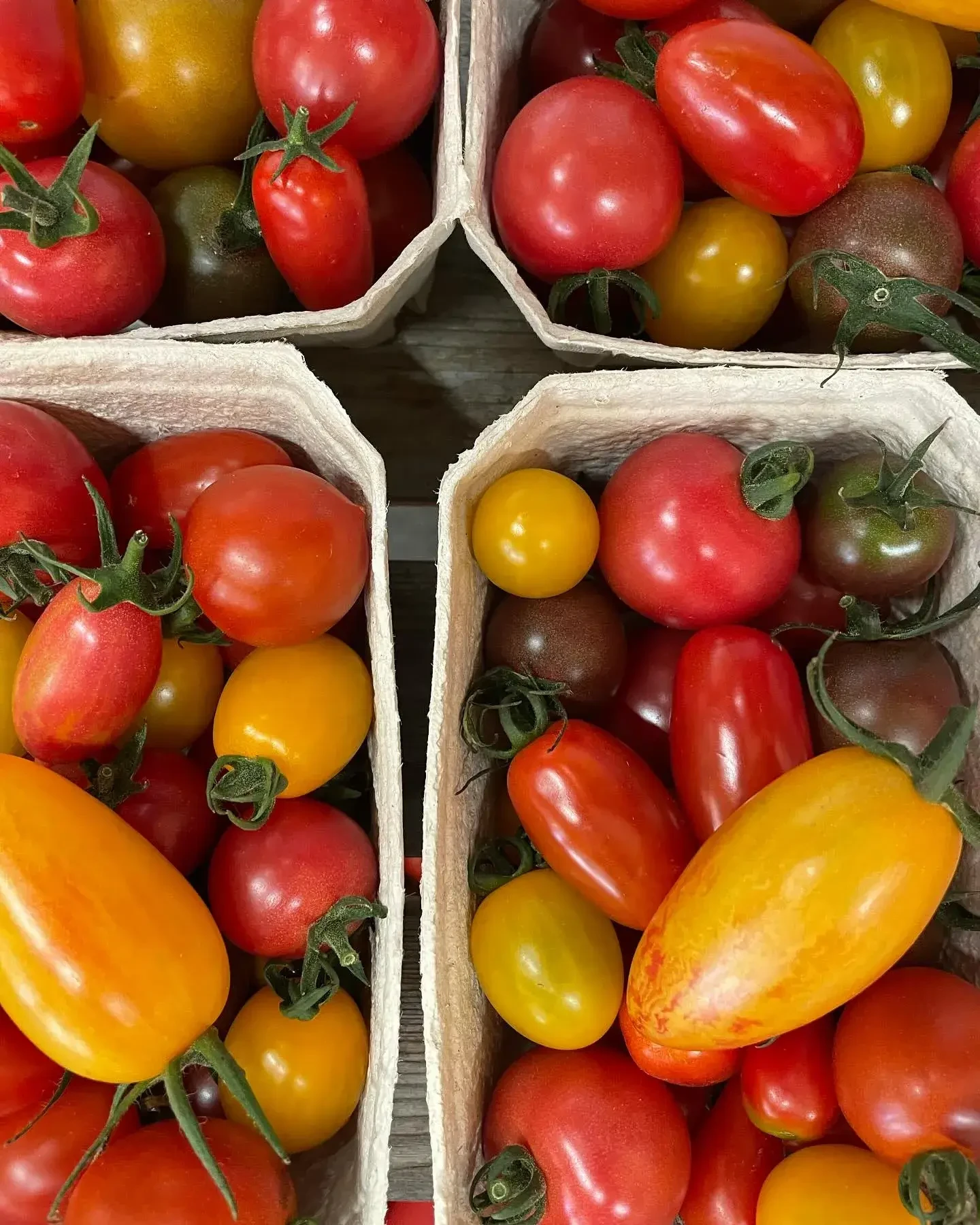 Tomaten von Biohof Pertiller Oberwimmpoint in Eugendorf