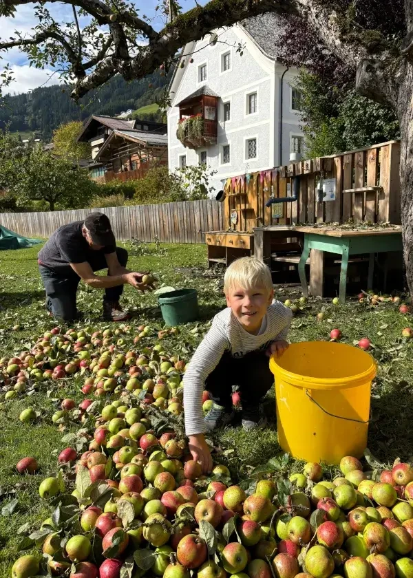 Obstpresse Bramberg_Apfelernte